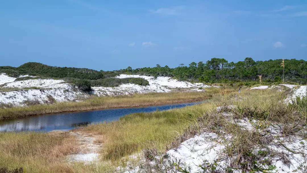 White sand dunes, a strip of open water lined with marsh grass, and pine forest at Topsail Hill Preserve State Park